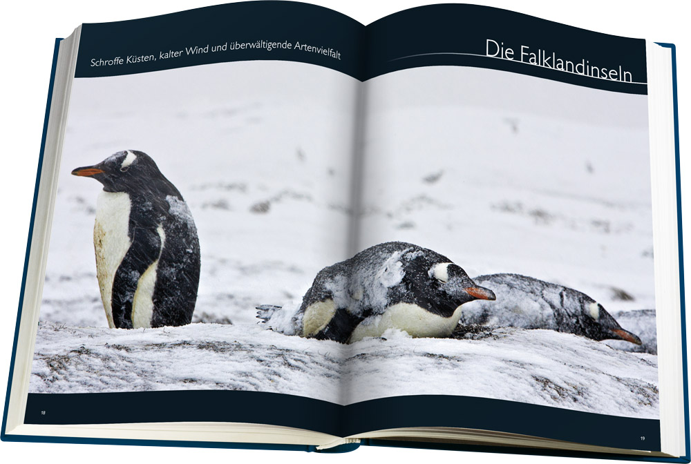 Suedamerika DS01 Web